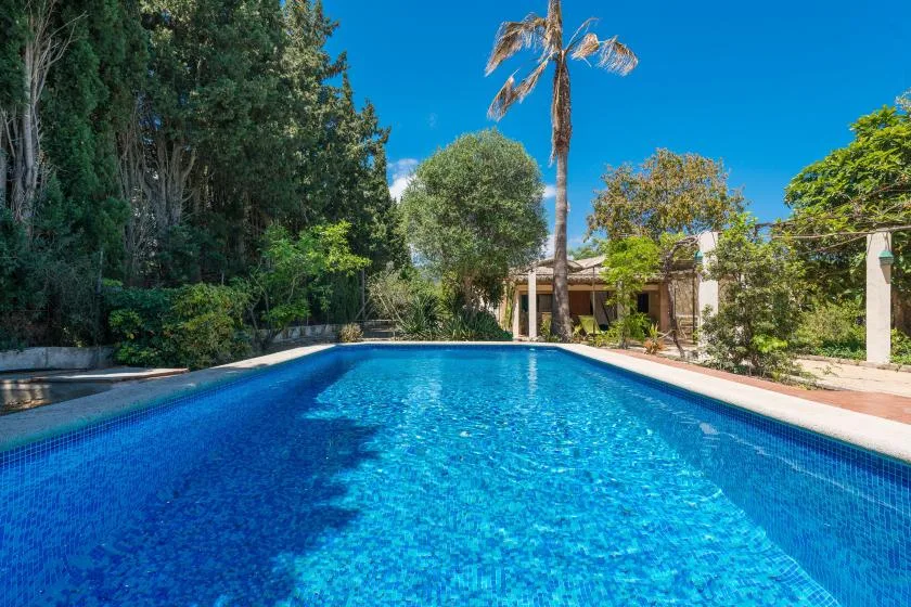 Una piscina se extiende hacia un jardín con árboles y un pequeño edificio.