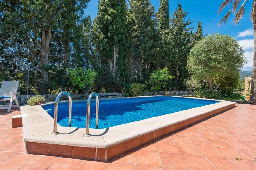 Una piscina al aire libre está junto a un patio embaldosado y árboles frondosos.