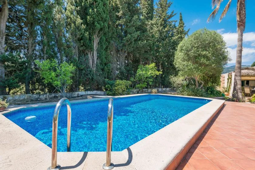 Una piscina está junto a un patio de baldosas, rodeada de árboles y vegetación.