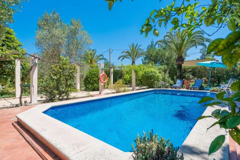 Una piscina rectangular está en un jardín soleado rodeado de árboles y vegetación.
