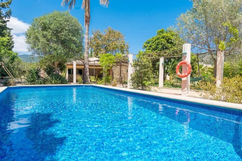A swimming pool surrounded by trees and a garden.