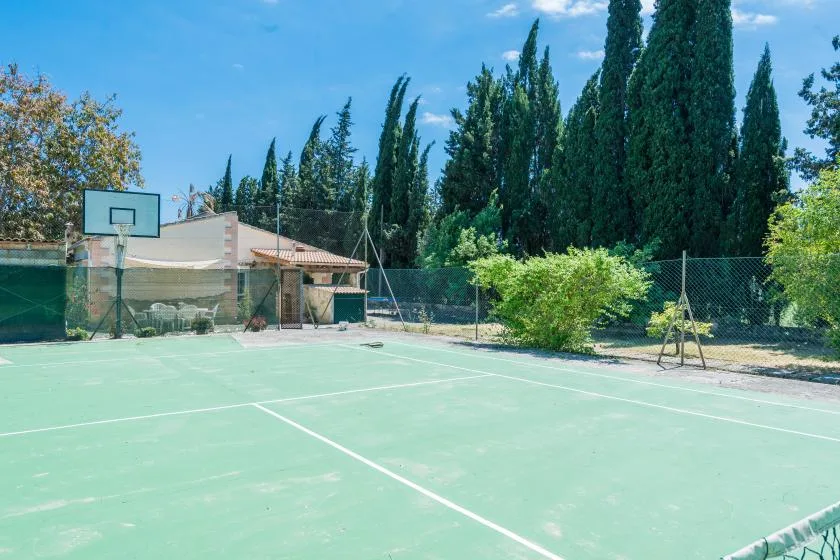 Una cancha deportiva al aire libre con una canasta, una valla y árboles.