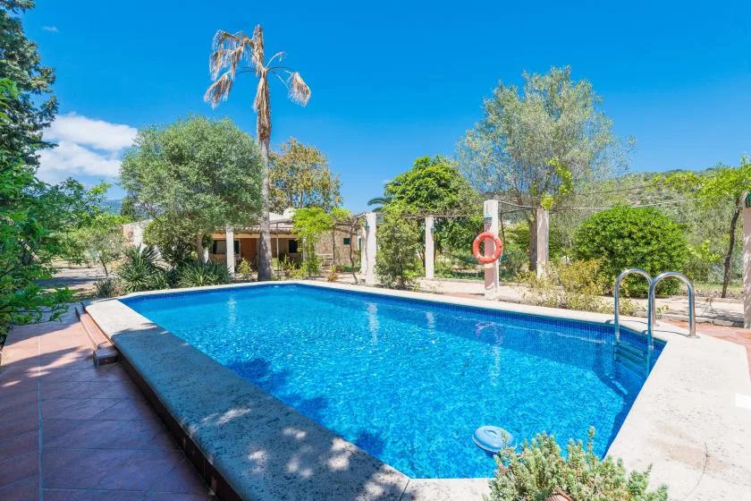 A swimming pool sits outdoors among trees and greenery under a clear blue sky.
