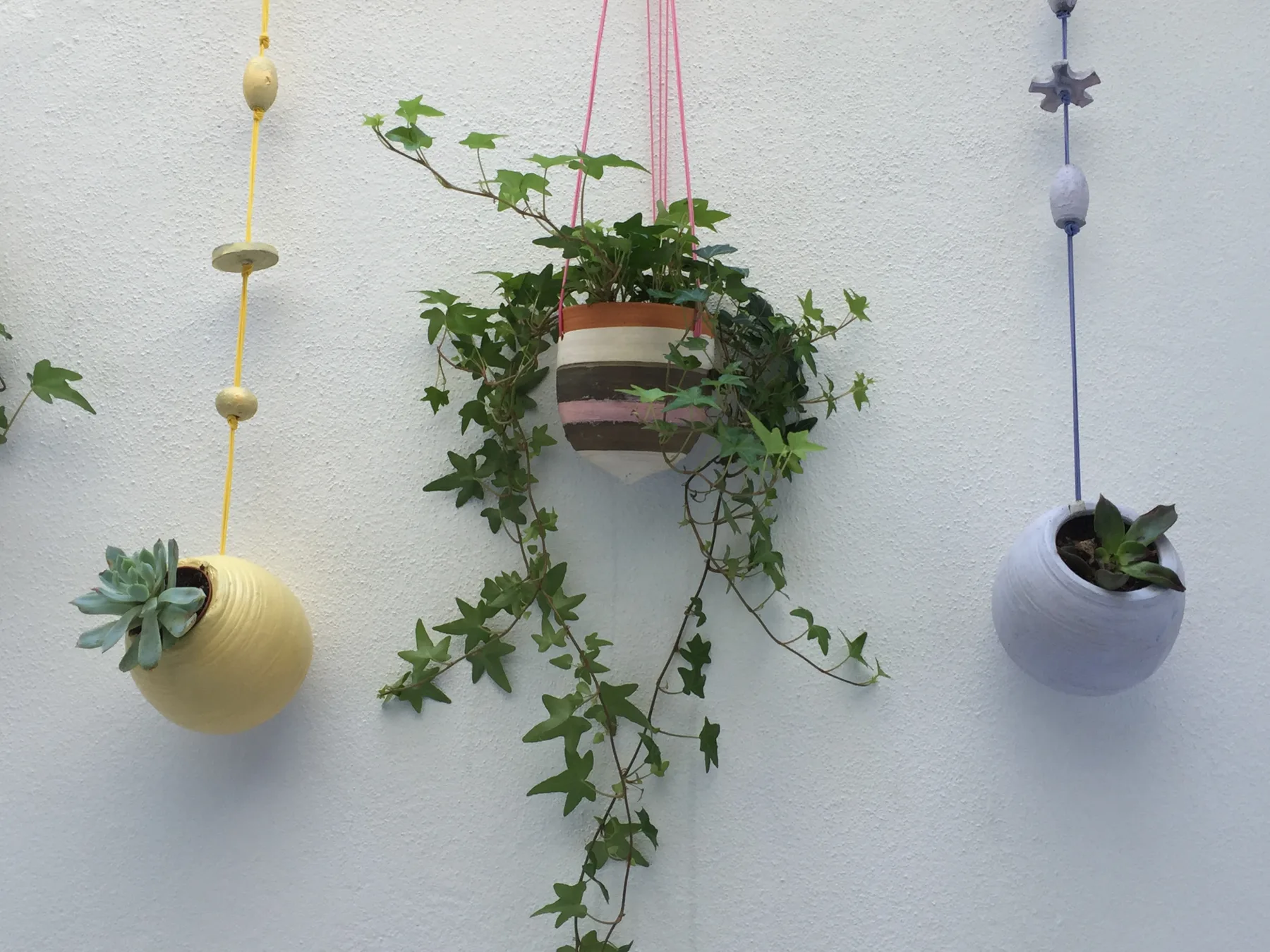 Hanging planters with trailing greenery against a white wall.