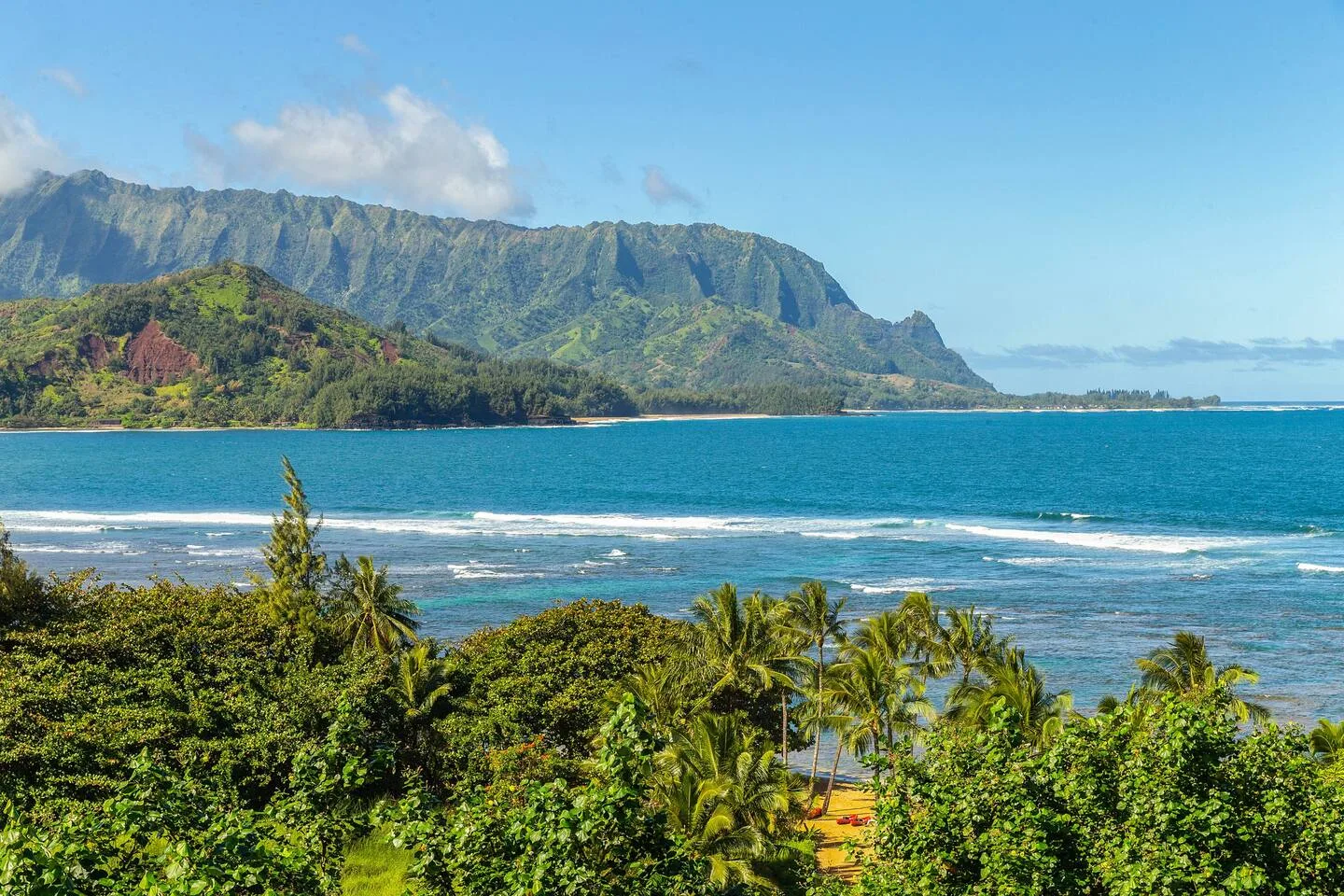 A tropical coastline with palm trees, blue water, and a green mountain range.