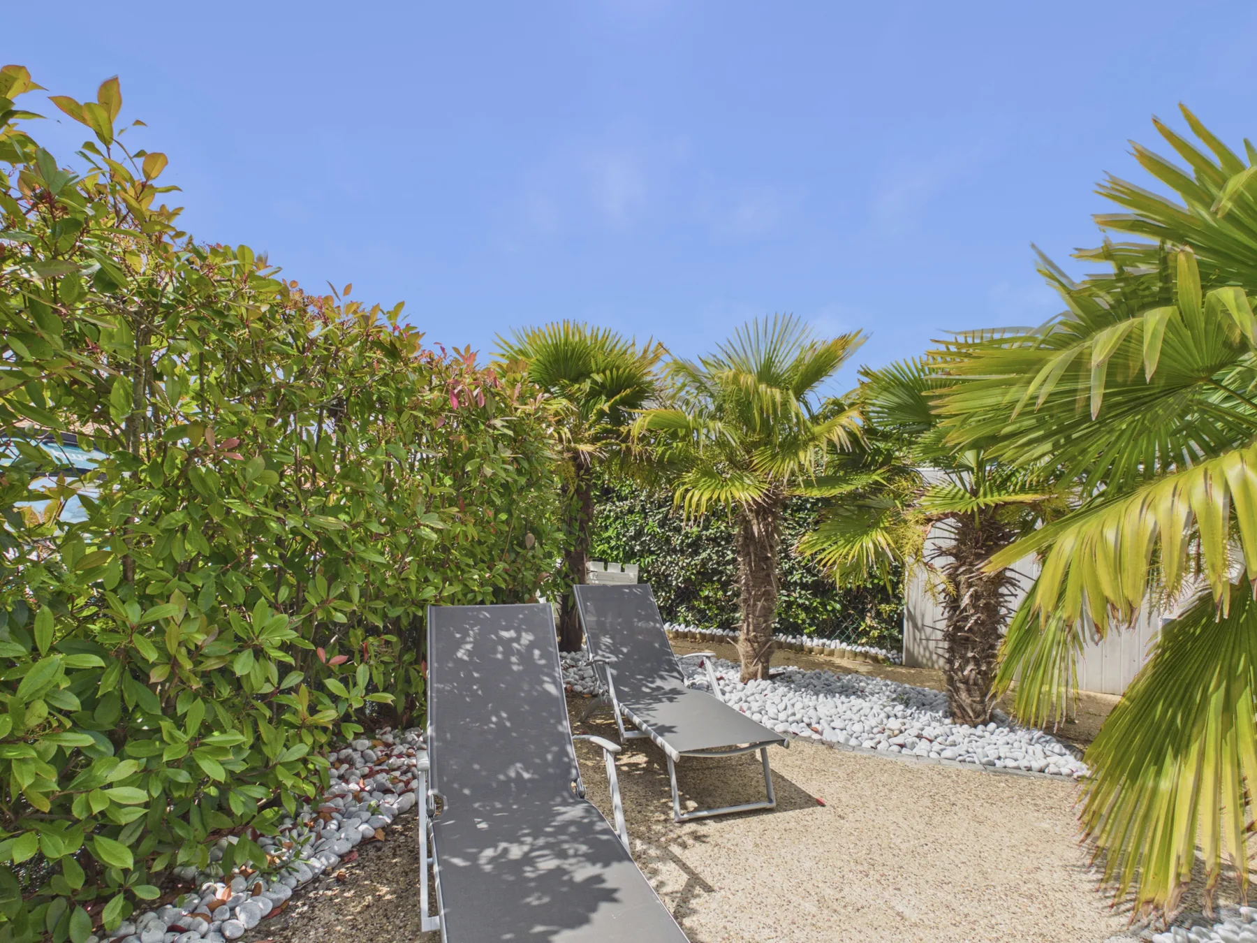An outdoor garden seating area with reclining lounge chairs among leafy plants and palms.
