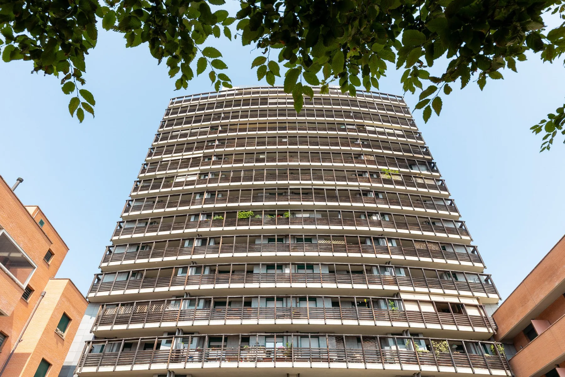 Un edificio de oficinas alto se alza entre edificios vecinos bajo ramas frondosas.