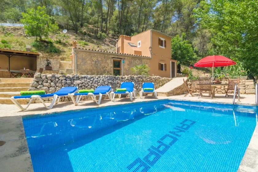 Una piscina al aire libre junto a una terraza de piedra y una casa entre árboles.