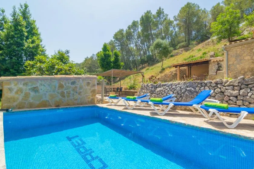 Outdoor swimming pool beside a stone wall, with loungers along the edge.