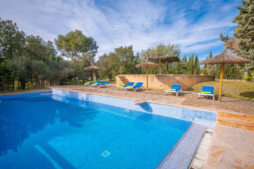 An outdoor swimming pool bordered by loungers, parasols, and trees.
