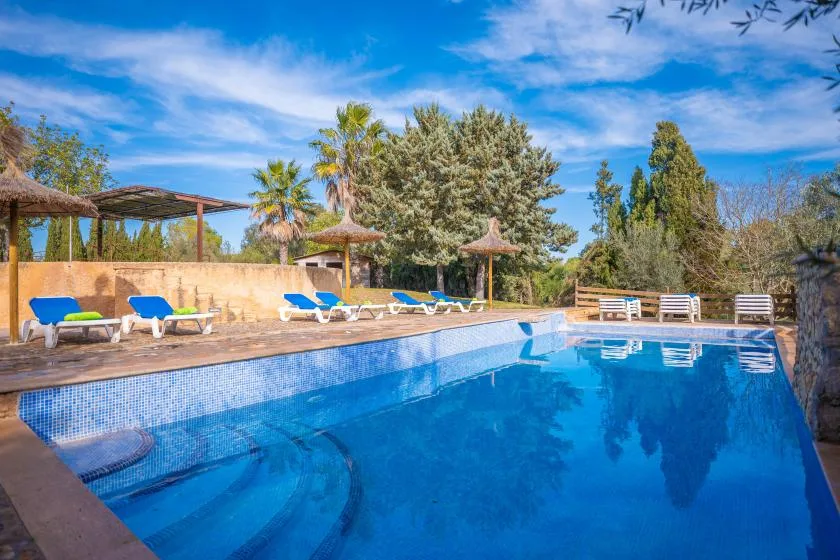 An outdoor swimming pool surrounded by lounge seating, trees, and a blue sky.