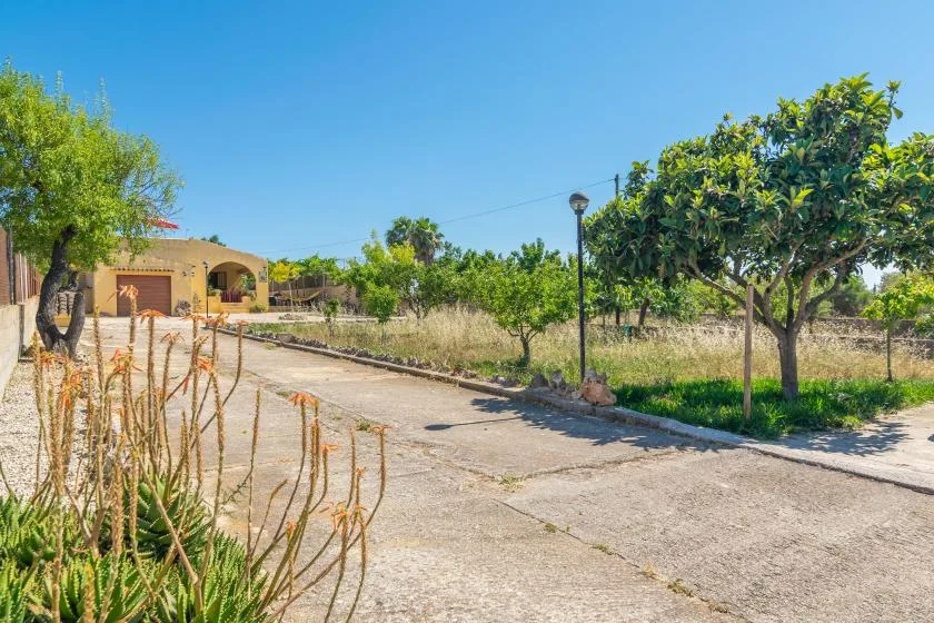 Una zona exterior pavimentada discurre entre árboles y vegetación bajo un cielo azul despejado.
