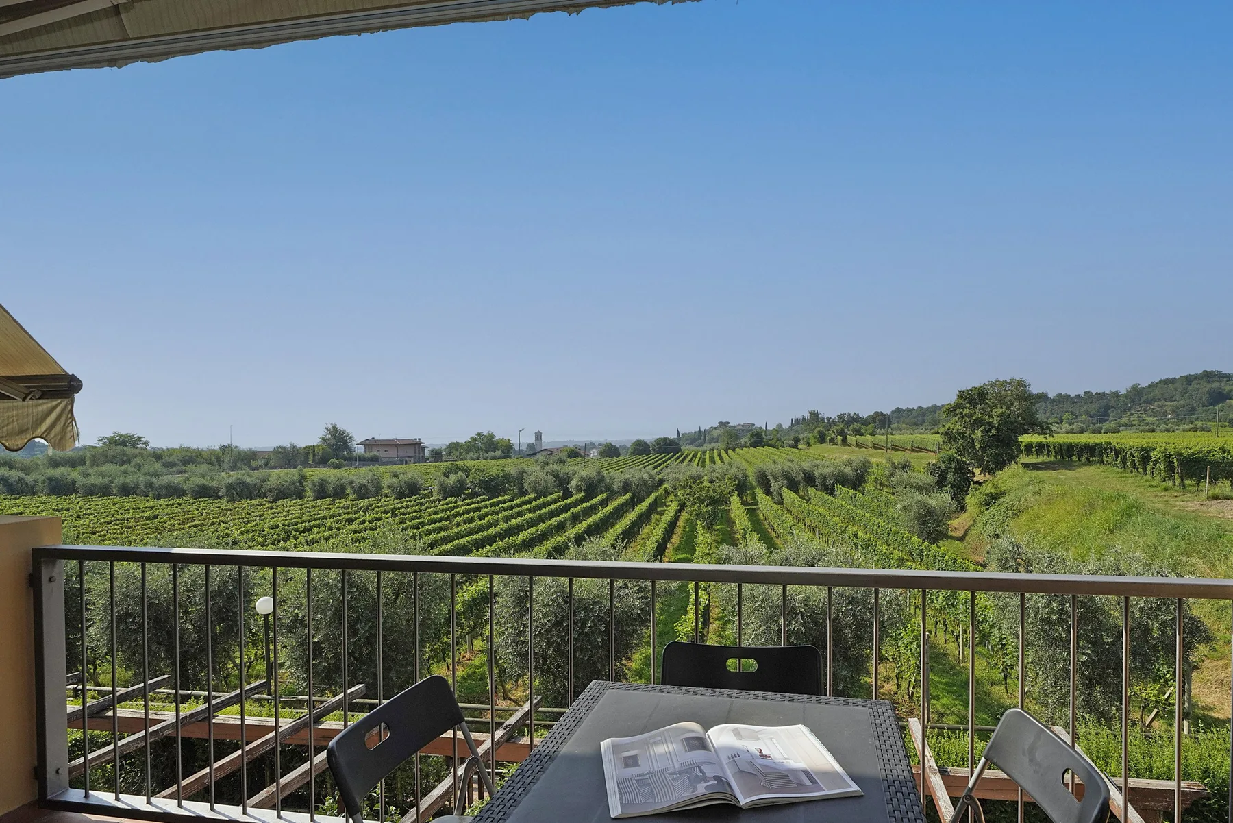 A balcony seating area overlooks rows of green vineyards beneath a clear sky.