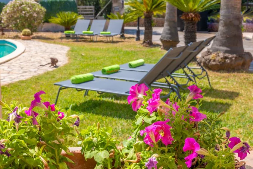 Un jardín soleado junto a la piscina, con tumbonas y plantas con flores.