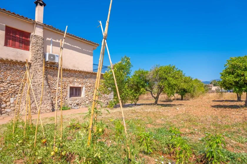 Una casa rural está junto a un jardín soleado con árboles y soportes de madera.