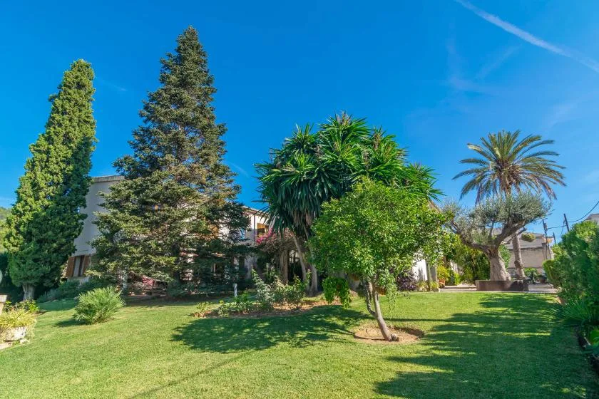 A landscaped garden with green lawn, leafy trees, and a palm under a clear blue sky.