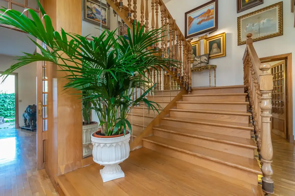 A wooden staircase rises beside a potted palm in a bright interior.