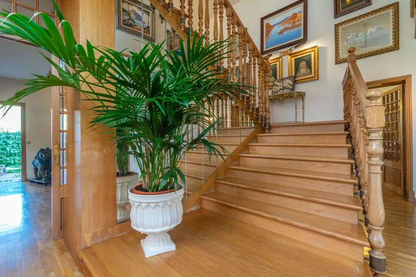 A wooden staircase rises beside a large potted plant in a bright entry hall.