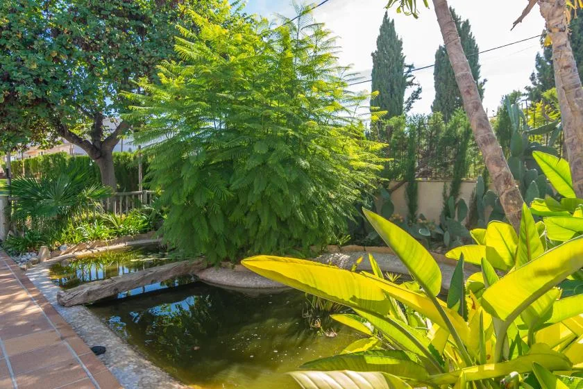 A leafy garden surrounds a small pond beside a tiled walkway.