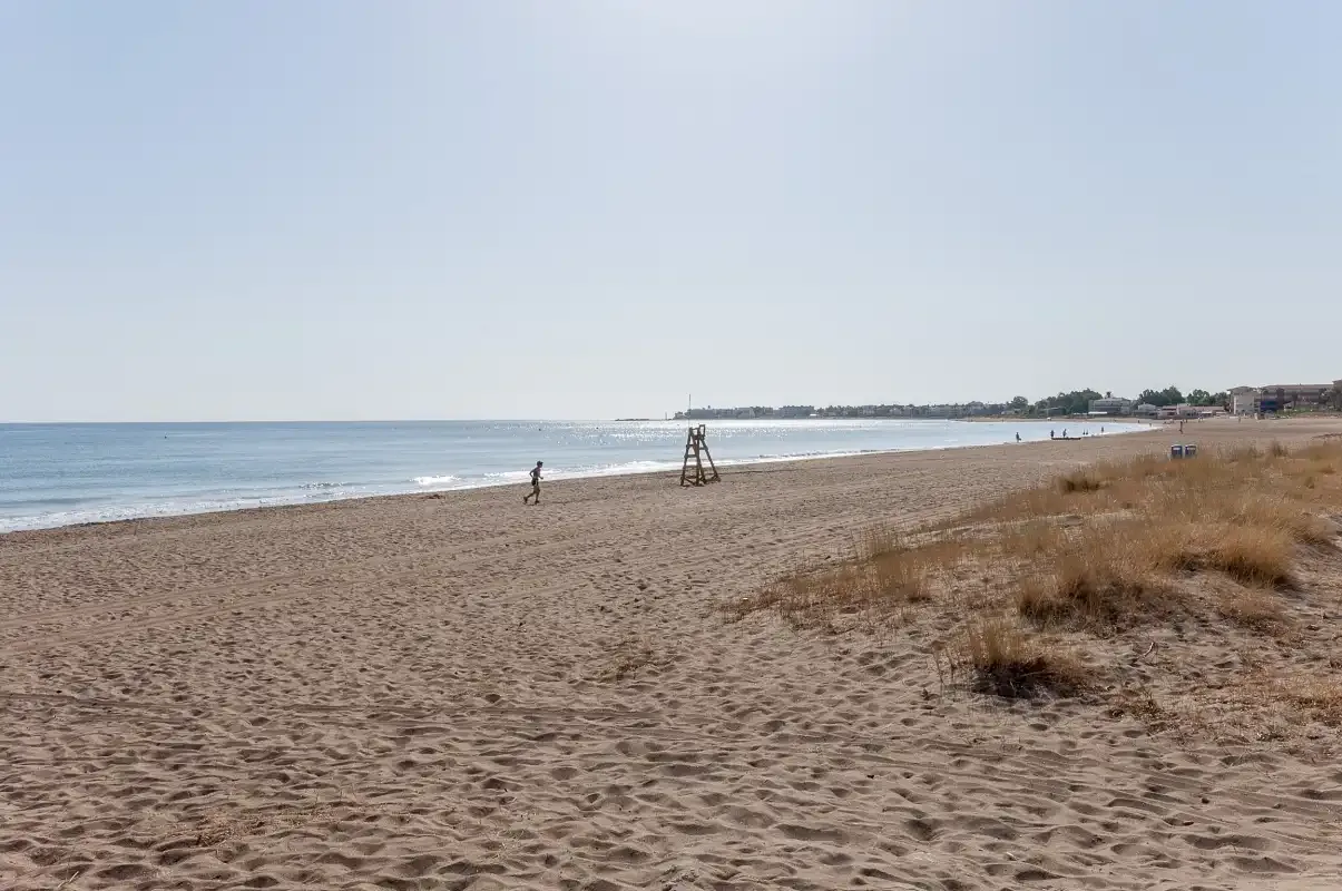 Una playa de arena se extiende junto al mar en calma, con escasa vegetación dunar.