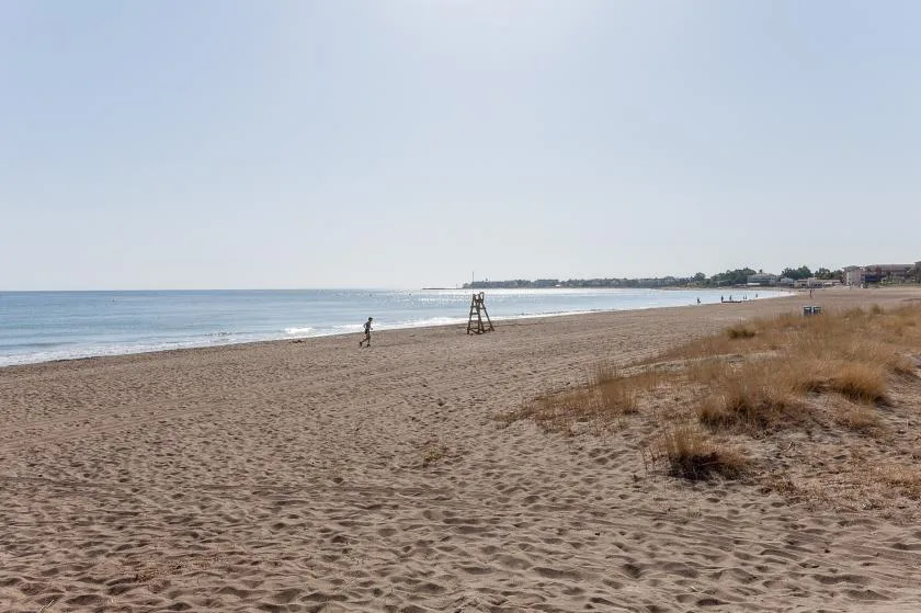 Una amplia playa de arena se extiende junto al agua tranquila y vegetación costera baja.