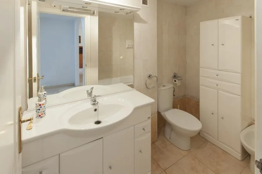 Un baño con lavabo, inodoro y un armario alto.