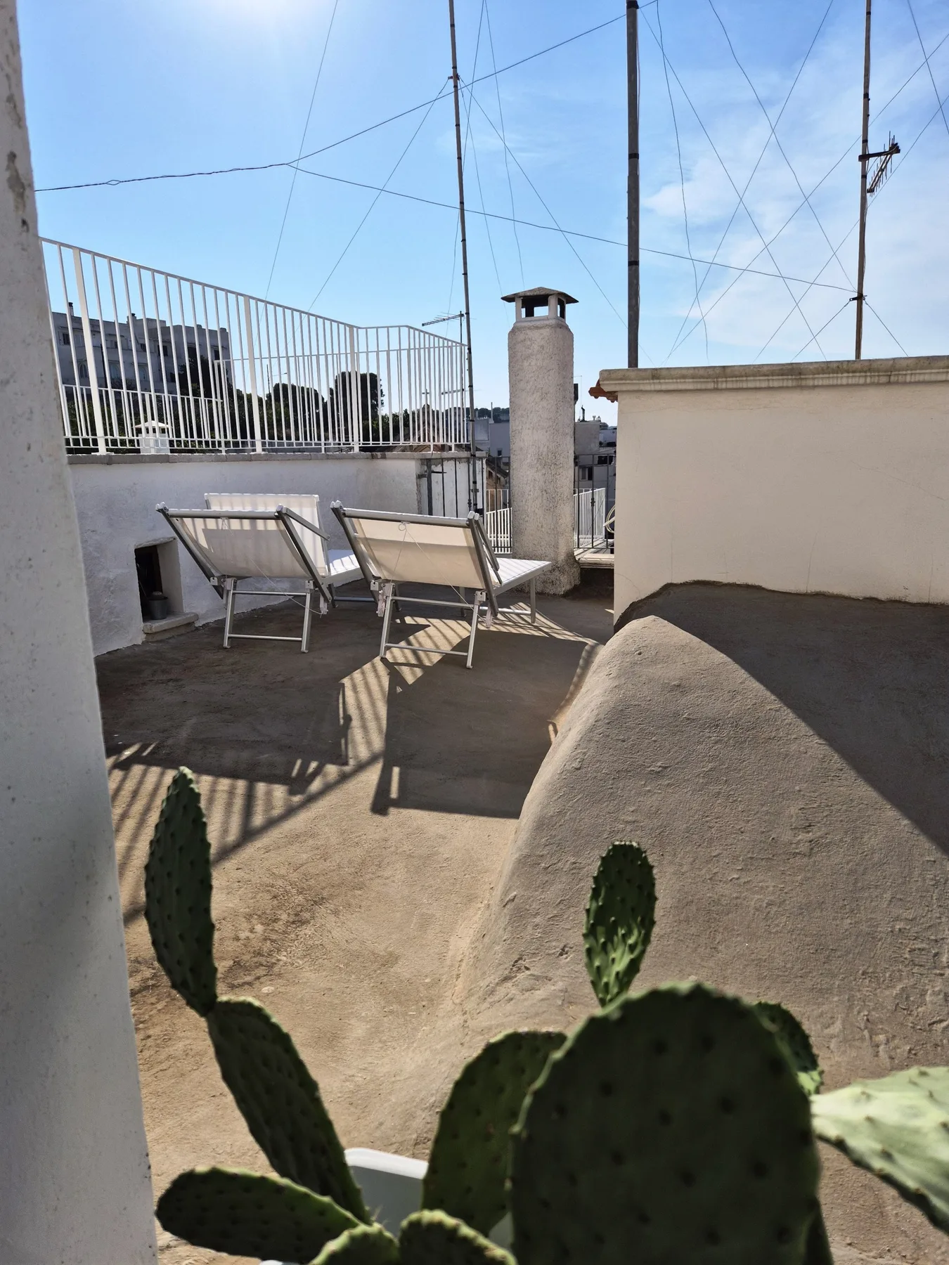 A sunny rooftop terrace with outdoor seating and potted cacti.