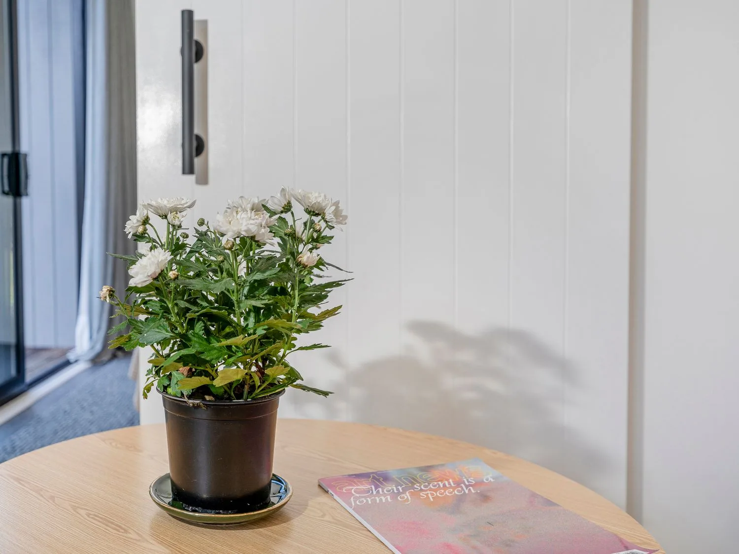 A potted flowering plant and a colorful book sit on a round table in a bright room.