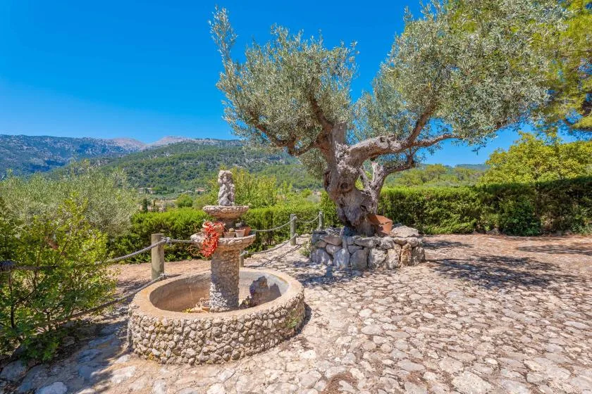 A stone courtyard with a circular fountain beneath a large tree overlooks a green valley.