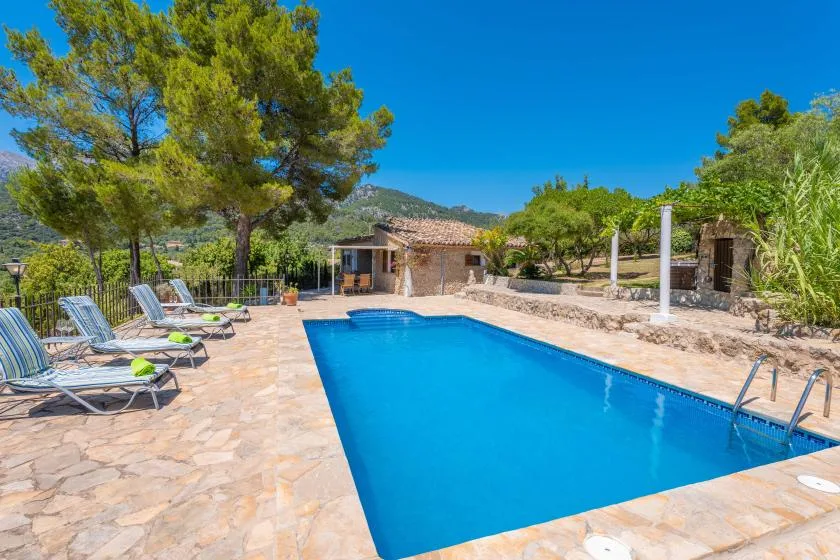 An outdoor swimming pool sits beside a stone patio with lounge seating and trees.