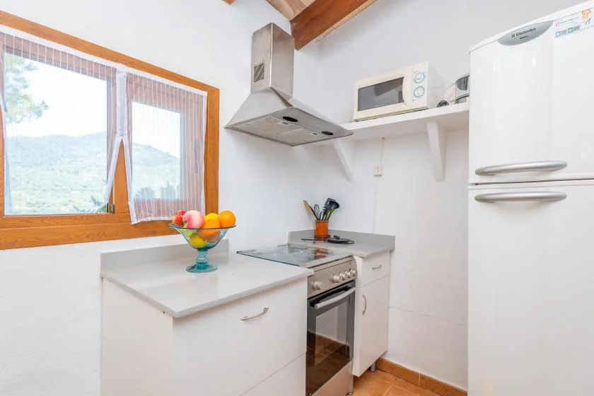 A compact kitchen with a cooktop, oven, and a window overlooking green hills.