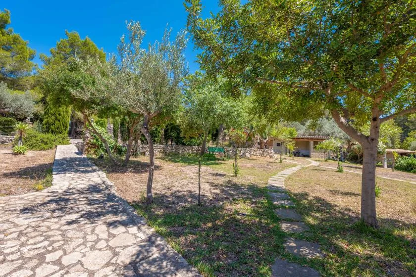 A garden with a stone path winding between trees and shrubs.