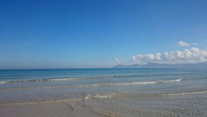 A beach shoreline with gentle waves beneath a clear blue sky.
