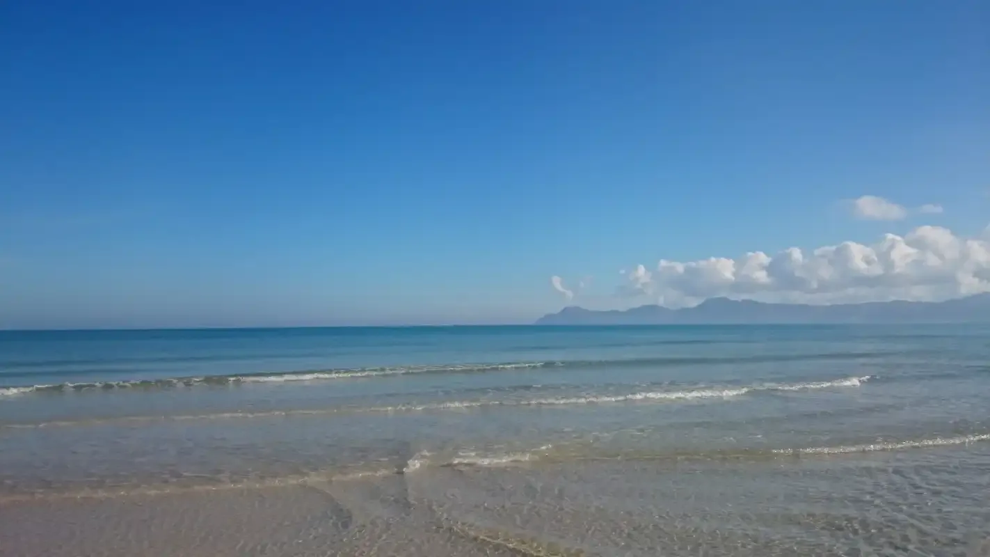 A sandy beach meets calm, shallow water beneath a clear blue sky.