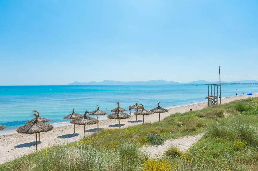 A sandy beach with thatched parasols, coastal grasses, and calm blue water.