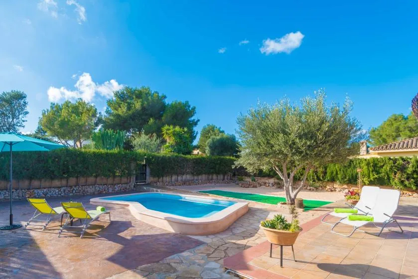 A sunny outdoor pool area with paved patio seating and surrounding trees.
