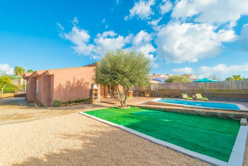 An outdoor pool area with a green lawn, a tree, and a low building.