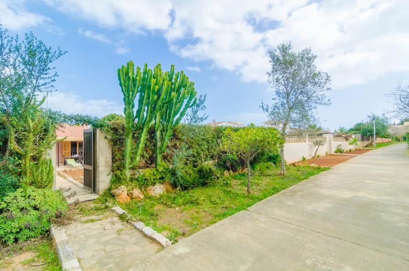 A paved road runs beside a landscaped entrance with shrubs and tall cacti.