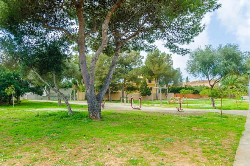 A grassy park with large trees, a paved path, and playground equipment.