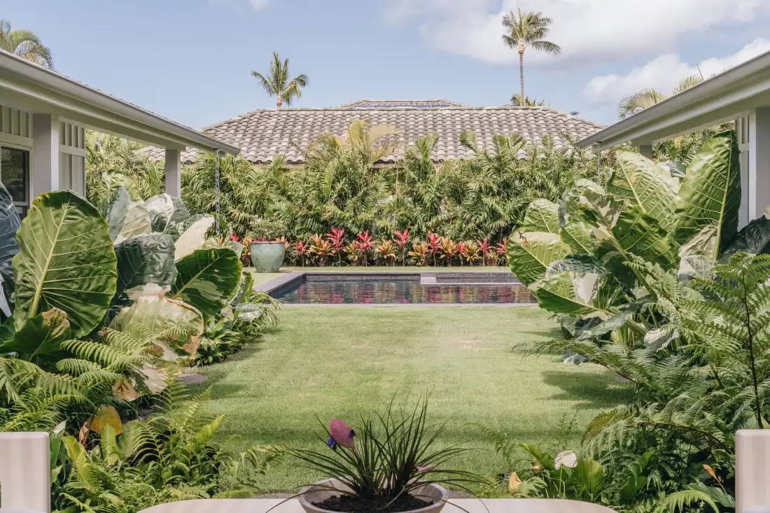 A garden courtyard with a lawn, lush plants, and a small pool.