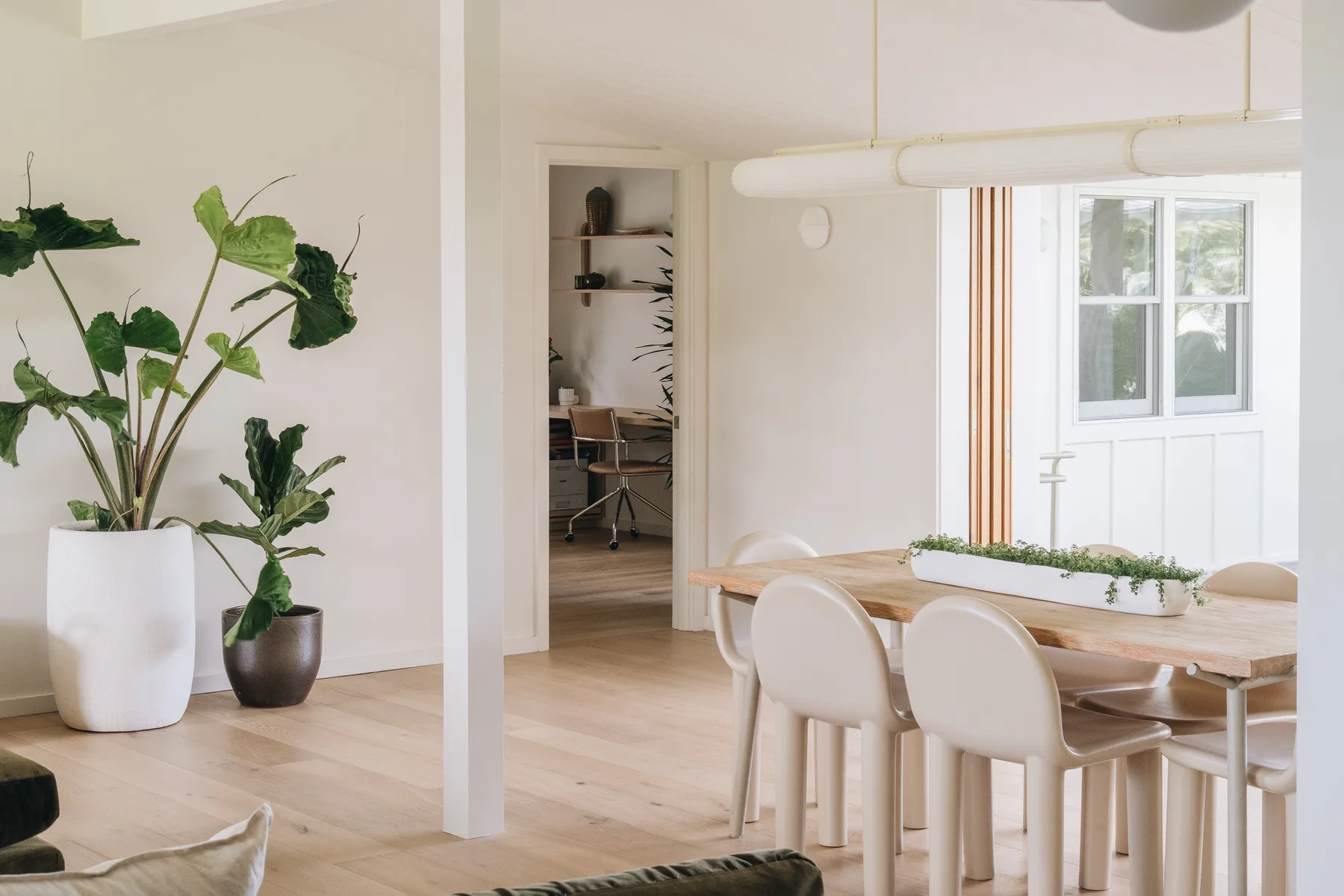A bright dining area with a long table and potted plants.