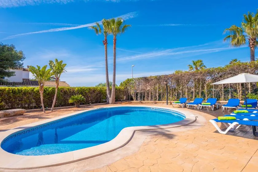 Una piscina está en un patio soleado pavimentado, con tumbonas y palmeras cerca.