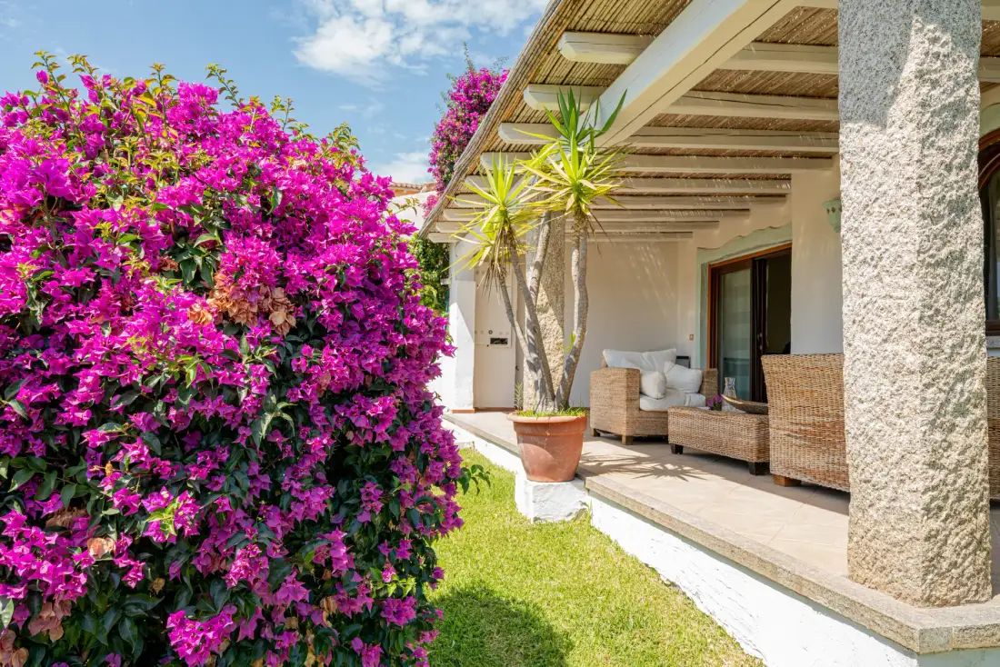 Una zona de estar exterior cubierta da a un jardín con arbustos floridos.