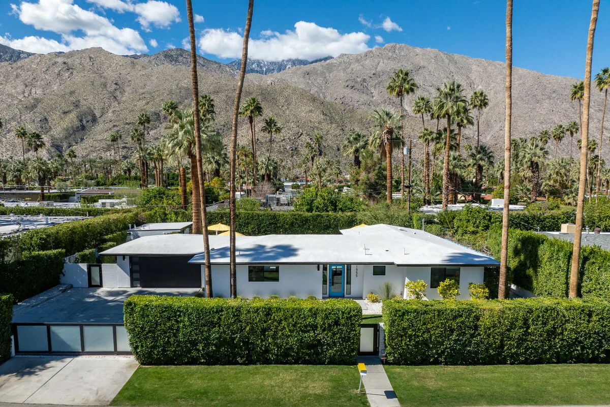 Surrounded by Palms