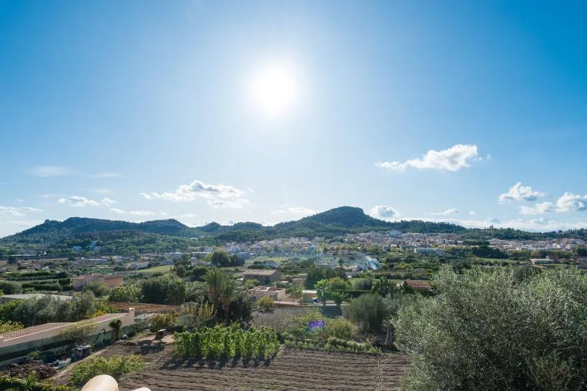 A sunny rural landscape with cultivated fields, scattered homes, and low hills.