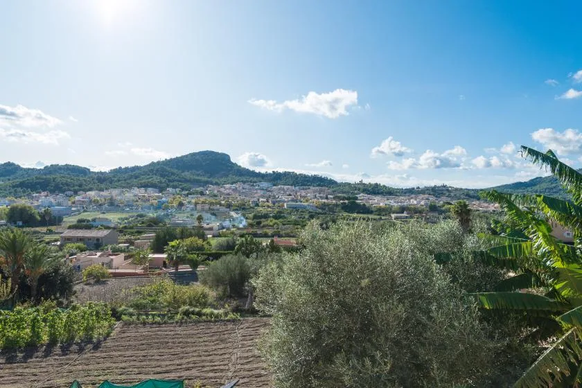 A sunny rural landscape with cultivated fields, scattered homes, and hills in the distance.
