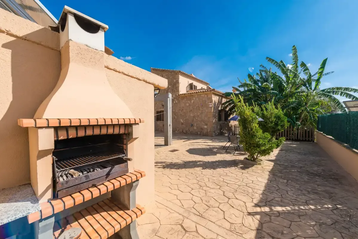A sunny paved patio features an outdoor barbecue and leafy plants.