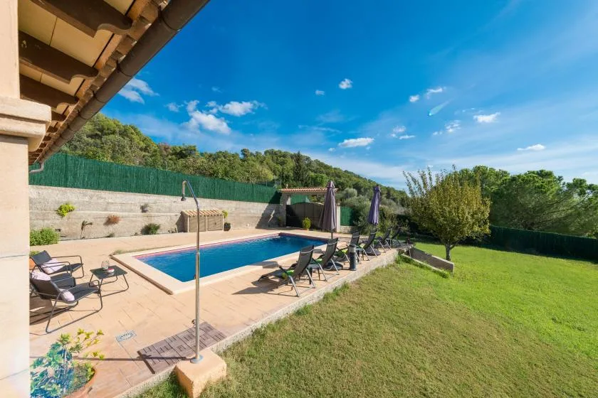 An outdoor swimming pool sits beside a paved patio and green lawn.