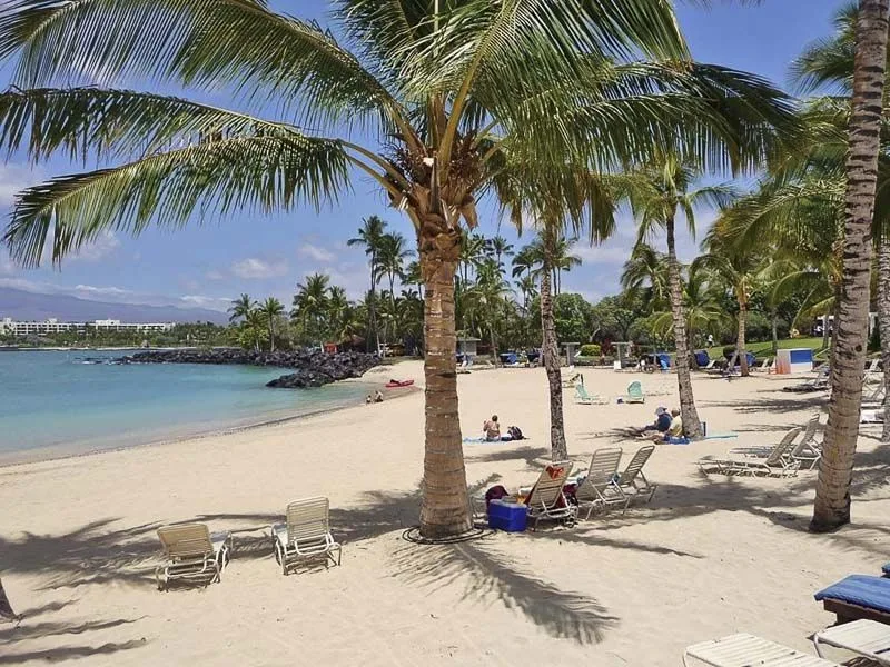 A sandy beach lined with palm trees overlooks calm blue water.