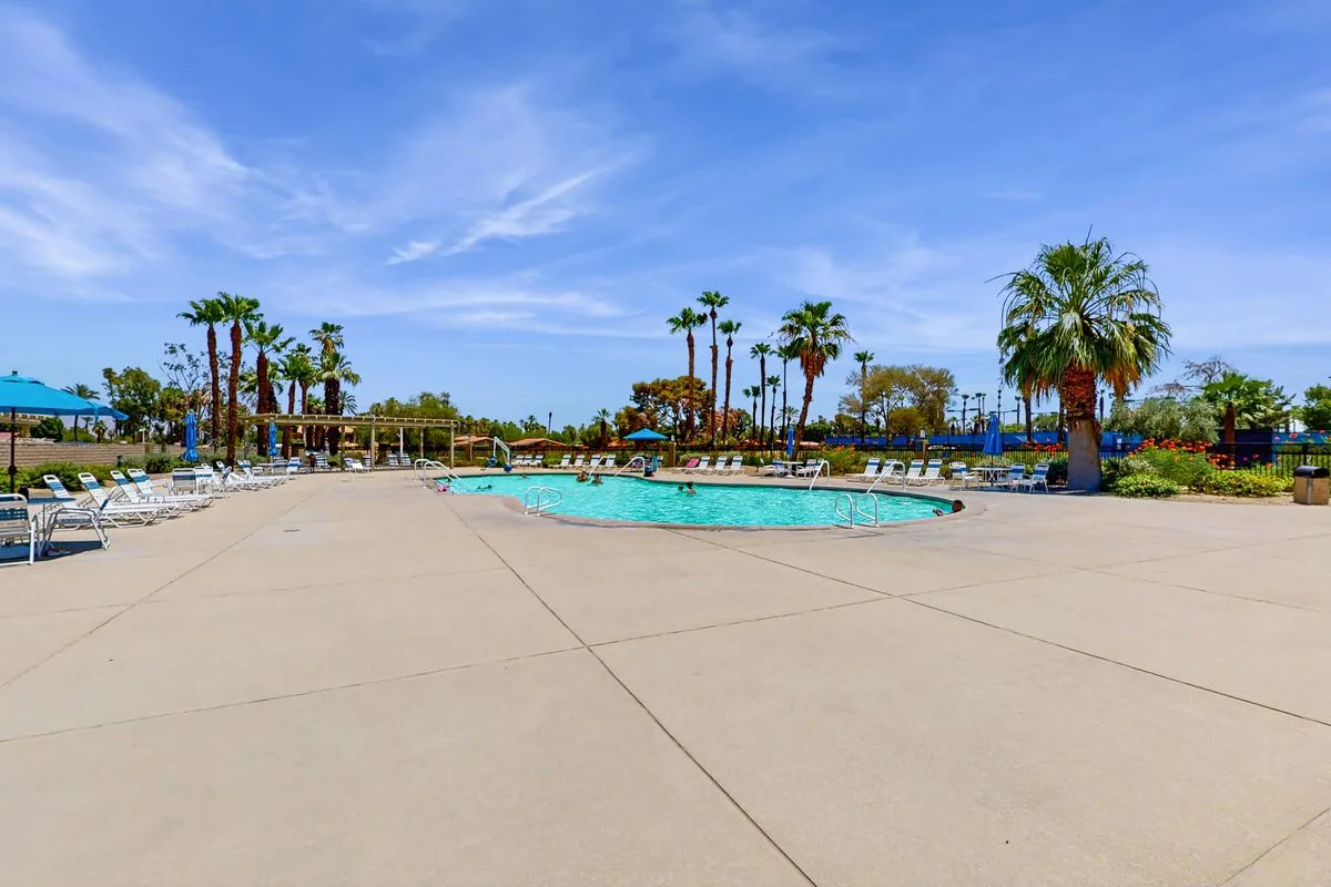 Palm Oasis